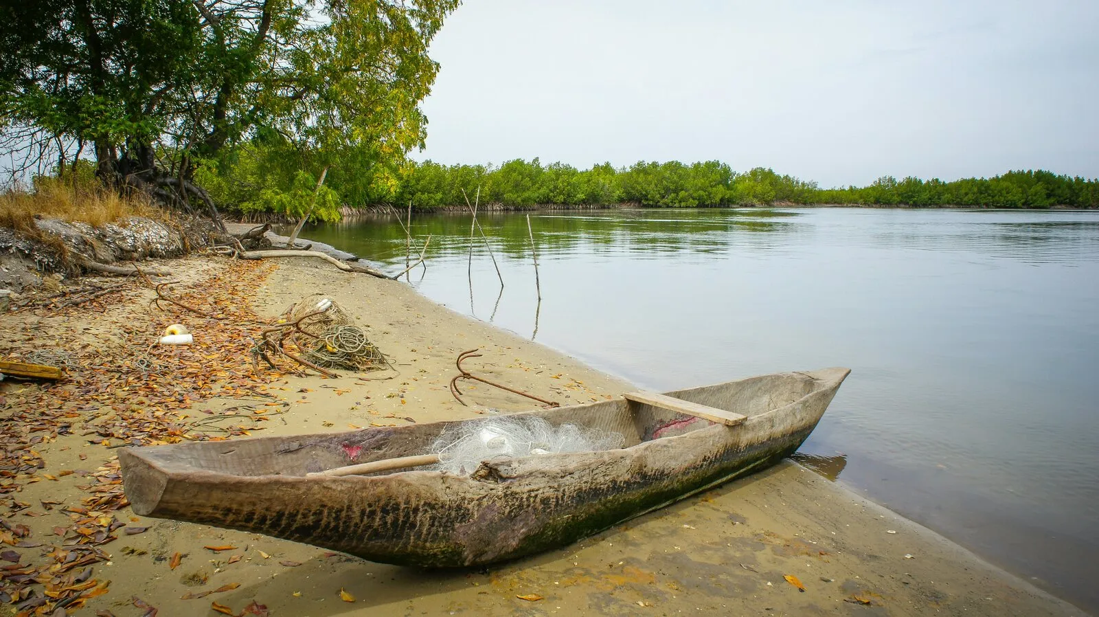 Pirogue dans les mangroves de Casamance